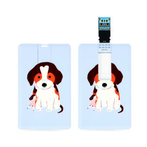 USB 기념품제작 망고스토리지 카드형USB 3.0 메모리 16GB USB 기념품제작 망고스토리지 카드형USB 3.0 메모리 16GB