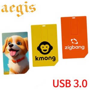 USB 기념품제작 이지스 카드형USB 3.0 메모리 128GB